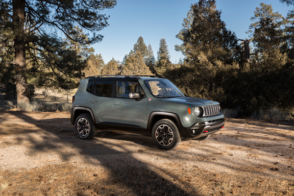 Jeep Renegade grey forest