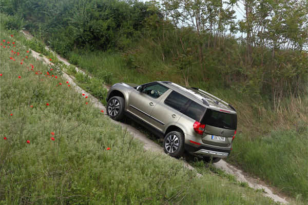 SKODA Yeti offroad back